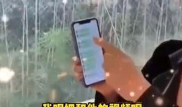 张兰邻居爆料视频大全集,揭秘真实生活点滴