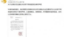 加拿大离婚律师爆料视频,视频揭秘婚姻破裂背后的惊人真相